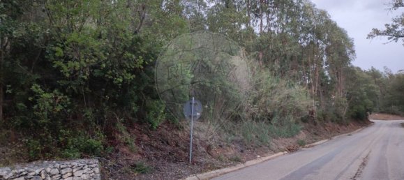 9240m² Land in Maiorga, Portugal No. 79653 2