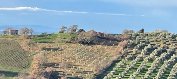 7 rooms Apartment in Manciano, Italy No. 25506 4