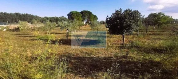 Земельный участок в Ното, Италия № 343993 17