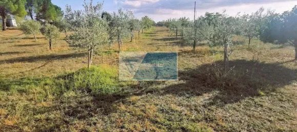 Земельный участок в Ното, Италия № 343993 14