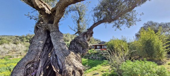 3 bedrooms House in Coin, Spain No. 147031 19