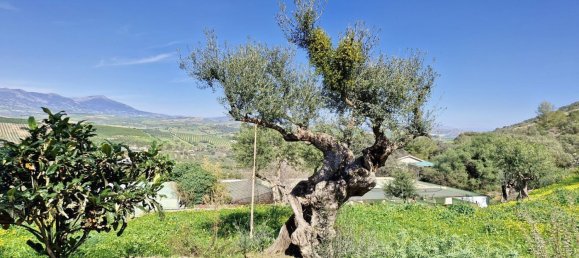 3 bedrooms House in Coin, Spain No. 147031 34