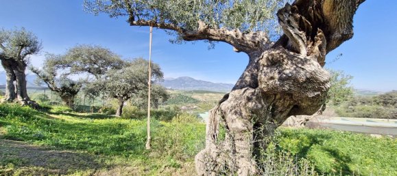 3 bedrooms House in Coin, Spain No. 147031 45