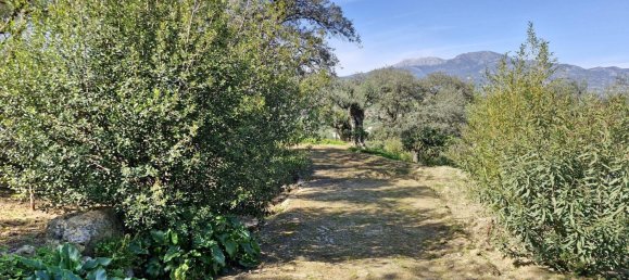 3 bedrooms House in Coin, Spain No. 147031 33