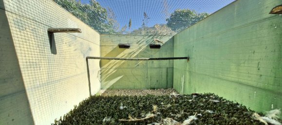 3 bedrooms House in Coin, Spain No. 147031 42