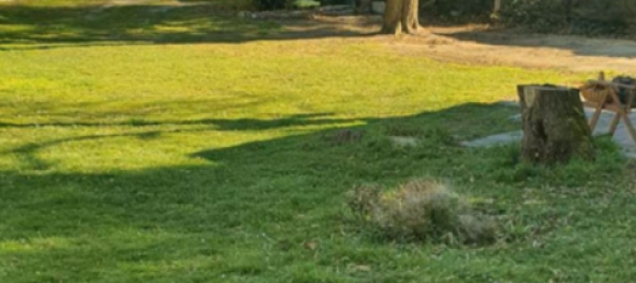  قطعة أرض في Markisch-Oderland, Germany رقم 329699 8