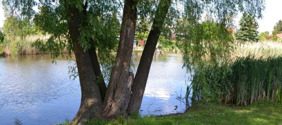  قطعة أرض في Markisch-Oderland, Germany رقم 329699 3