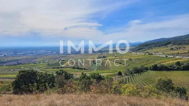 Terrain à Gumpoldskirchen, Austria No. 29725