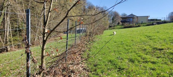 Grundstück in Altlengbach, Austria, Nr. 164357 3