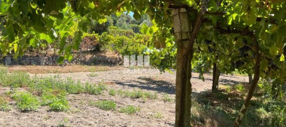 1350m² Land in Marco de Canaveses, Portugal No. 55947 30