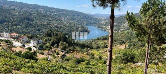 1350m² Land in Marco de Canaveses, Portugal No. 55947 11