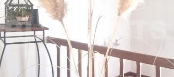 5 bedrooms House in Castelsarrasin, France No. 336286 10