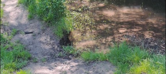 Apartamento de 2 dormitorios en Solingen, Germany No. 334784 2