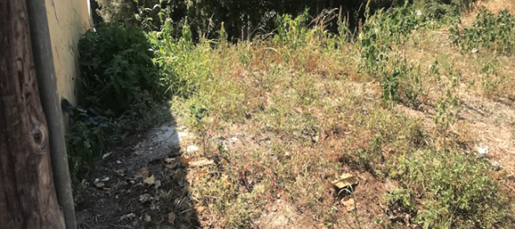 Terreno em Santa Maria de Palautordera, Spain 391 m² N.º 159544 8