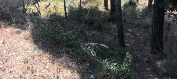 Terreno em Santa Maria de Palautordera, Spain 391 m² N.º 159544 9