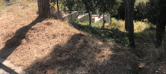 Terreno em Santa Maria de Palautordera, Spain 391 m² N.º 159544 6