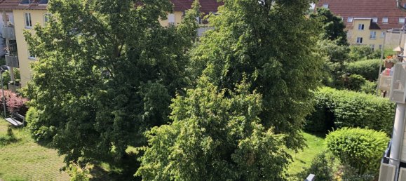 1 غرف نوم شقة في Nordsachsen, Germany رقم 364820 11