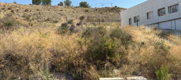 Grundstück in Molina de Segura, Spain, Nr. 157889 2