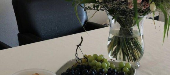 5 rooms Townhouse in Munchendorf, Austria No. 49593 8