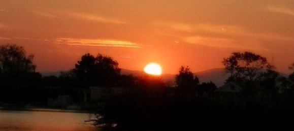 5 rooms Townhouse in Munchendorf, Austria No. 49593 37