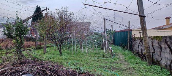 Дом с 3 спальнями в Палмейра, Португалия № 41761 9