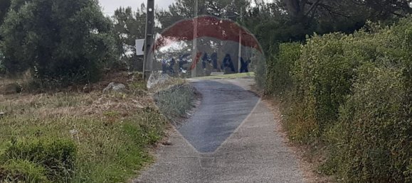 Grundstück in Sintra, Portugal 30520m², Nr. 78294 13