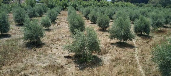 12700m² Hotel in Elis, Greece No. 3653 7