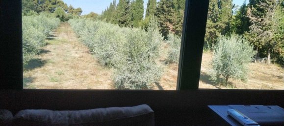 12700m² Hotel in Elis, Greece No. 3653 6