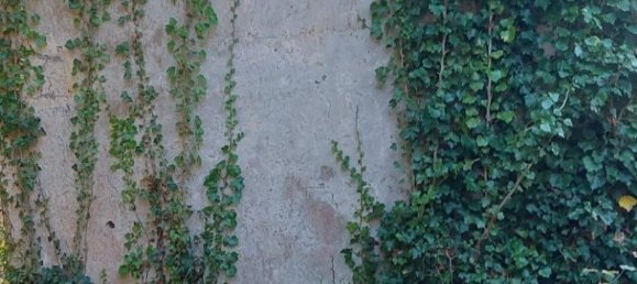 Дом с 6 комнатами в Маратеа, Италия № 101974 10