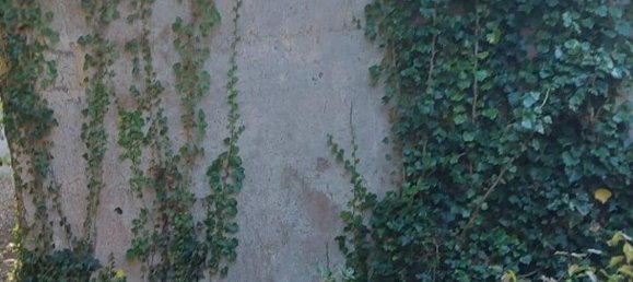 Дом с 6 комнатами в Маратеа, Италия № 101974 12