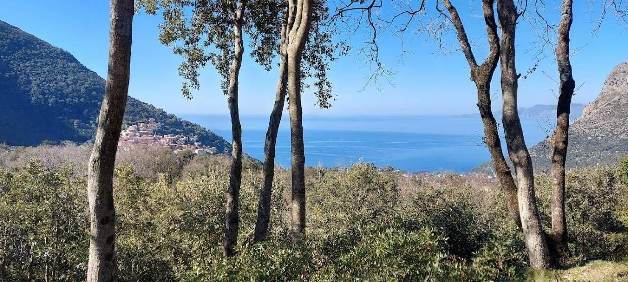 Дом с 6 комнатами в Маратеа, Италия № 101974