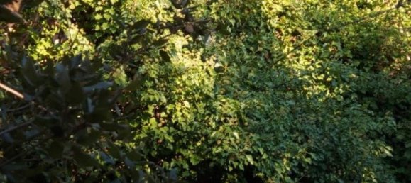 Дом с 6 комнатами в Маратеа, Италия № 101974 14