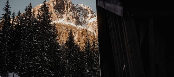 3 rooms House in Muhlbach am Hochkonig, Austria No. 180944 5