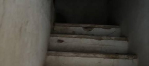 4غرفة شقة في Tolfa, Italy رقم 26770 34