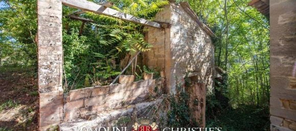 15 غرف نوم فيلا في Montone, Italy رقم 124289 21