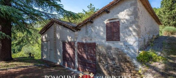 15 غرف نوم فيلا في Montone, Italy رقم 124289 18