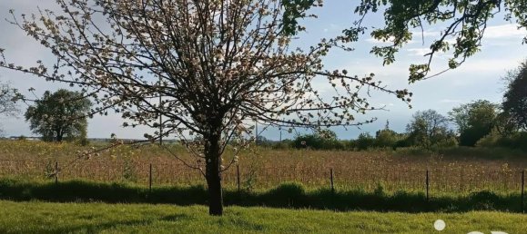 4 bedrooms House in Berling, France No. 73578 18