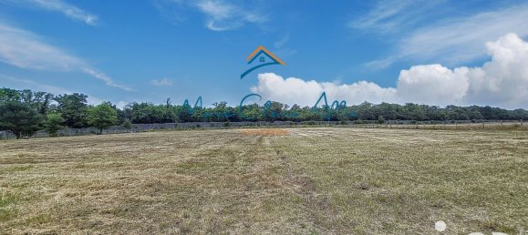 Casa de 2 dormitorios en Huisseau-sur-Cosson, France No. 250817 17