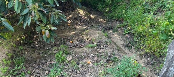 قطعة أرض في Ojen, Spain رقم 143170 3