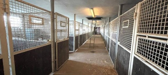 5-Zimmer Schlösser in Rhein-Hunsrück, Germany, Nr. 205250 29