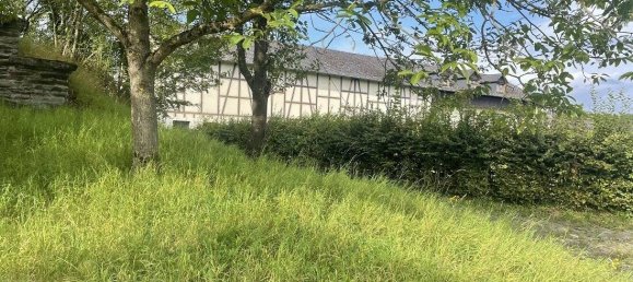 5-Zimmer Schlösser in Rhein-Hunsrück, Germany, Nr. 205250 11