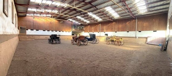 5-Zimmer Schlösser in Rhein-Hunsrück, Germany, Nr. 205250 27