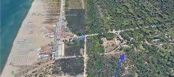 2 rooms Commercial property in Viareggio, Italy No. 89067 2