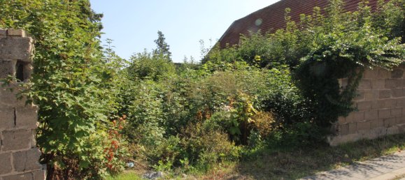 Grundstück in Saalekreis, Germany, Nr. 42894 4