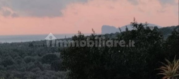 1 chambre Maison à Alghero, Italy No. 350530 3