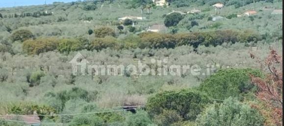 1 chambre Maison à Alghero, Italy No. 350530 2