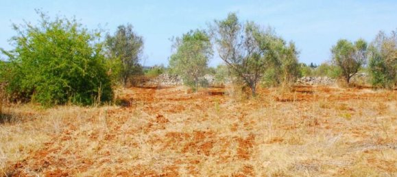 Grundstück in Alessano, Italy 7419m², Nr. 319634 6