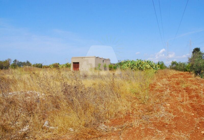 Grundstück in Alessano, Italy 7419m², Nr. 319634