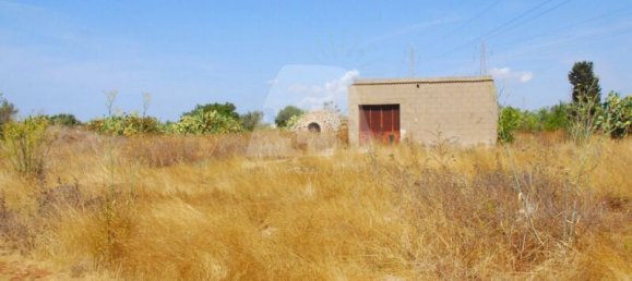 Grundstück in Alessano, Italy 7419m², Nr. 319634 3