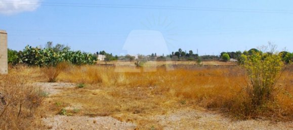 Grundstück in Alessano, Italy 7419m², Nr. 319634 5